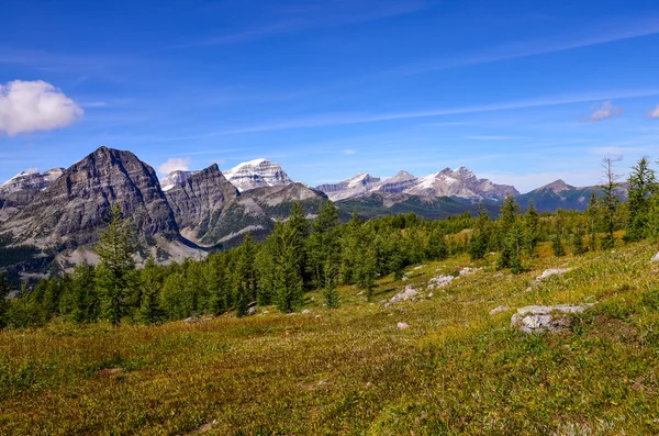 Vue du paysage des montagnes dans le parc national Banff, Alberta, Canada — Photo