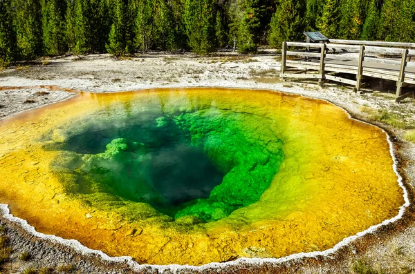Vista detalhada da piscina geotérmica Morning glory in Yellowstone NP — Fotografia de Stock