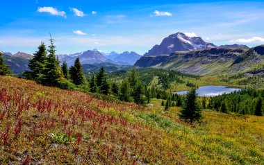 banff Ulusal Parkı, Kanada dağlarında doğal görünümü
