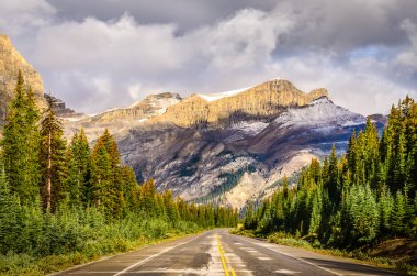 doğal yoldan görünümünü icefields parkway, Kanada Rocky Dağları üzerinde