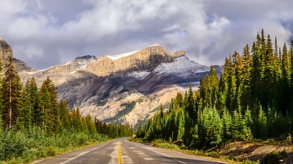 Doğal yoldan görünümünü icefields parkway, Kanada Rocky Dağları üzerinde — Stok fotoğraf