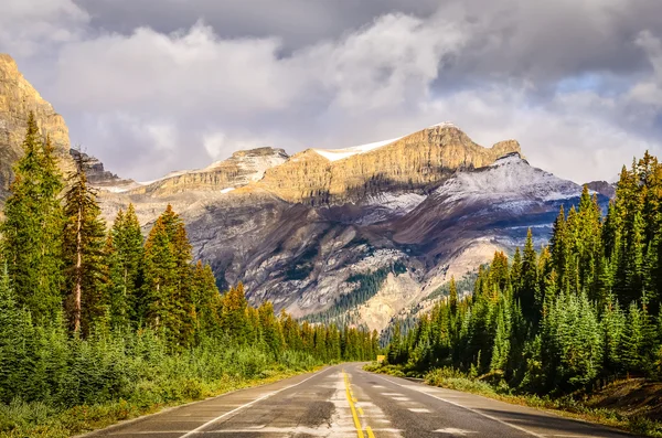 Vue panoramique de la route sur la promenade des Glaciers, Rocheuses canadiennes — Photo