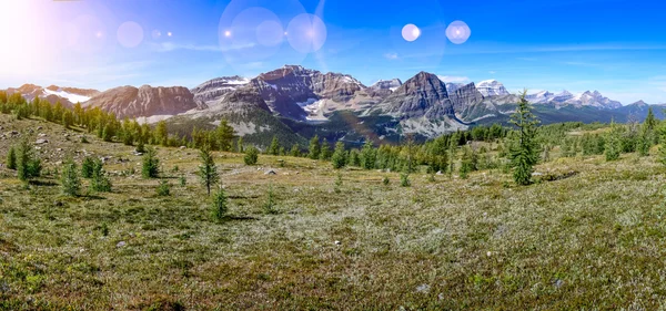 Panoramisch uitzicht op bergen in nationaal park banff, alberta, kunt — Stockfoto