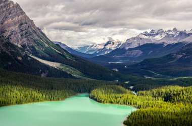 Manzaralı peyto göl ve dağ, Kanada