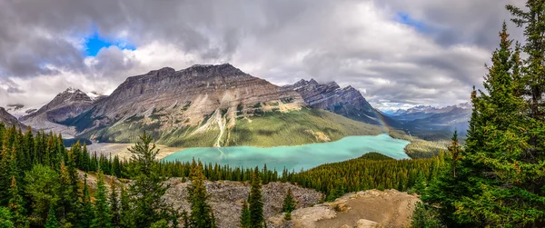 Panoramatický pohled na peyto jezero a rocky mountains, Kanada — Stock fotografie