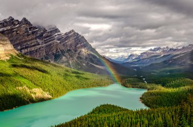 Doğal manzaralı Peyto Gölü vadinin, Kanada Rocky Dağları