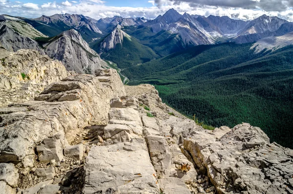 Vue sur la chaîne de montagnes dans Jasper NP avec tamias au premier plan — Photo