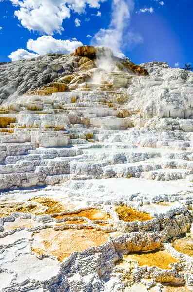 Vista detalhada da bela terra geotérmica em Yellowstone NP — Fotografia de Stock