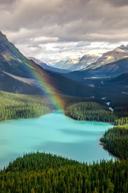Peyto göl, Kanada Rocky Dağları doğal Dağ Manzaralı