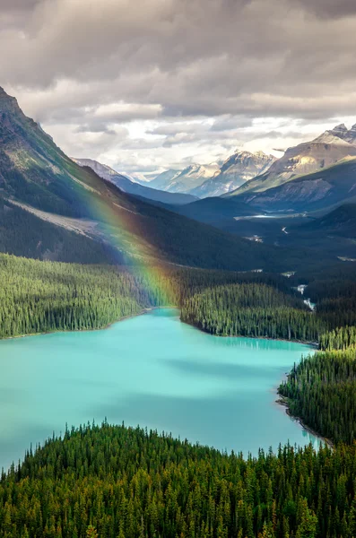 Scenic mountain view of Peyto lake, Canadian Rockies — Stock Photo, Image