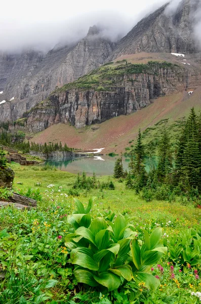 Paisaje vista del prado alpino, lago y montañas — Foto de Stock
