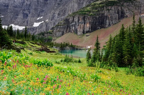 Landschapsmening van alpine weide in Glacier Np bergen — Stockfoto