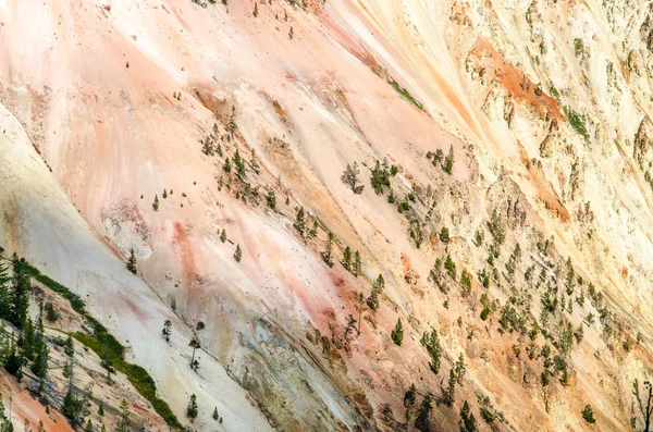 Detail scenic view at Grand Canyon of Yellowstone — Stock Photo, Image