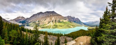 Panoramik Peyto Gölü ve Rocky Dağları, Alberta