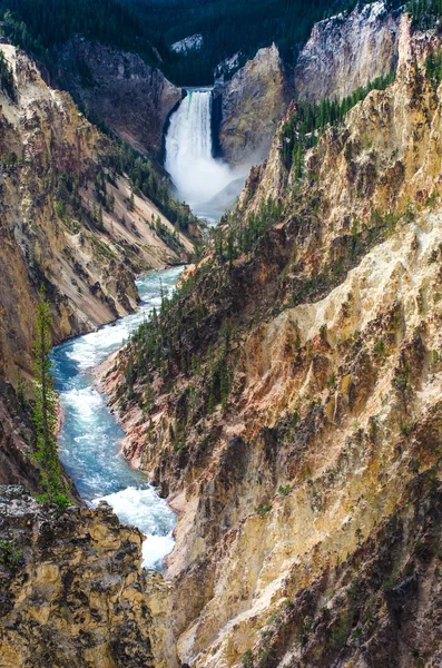 Vista panoramica sul Grand canyon di Yellowstone, Stati Uniti d'America — Foto Stock