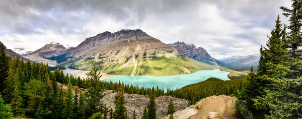 Vista panorâmica do lago Peyto e montanhas rochosas, Alberta — Fotografia de Stock