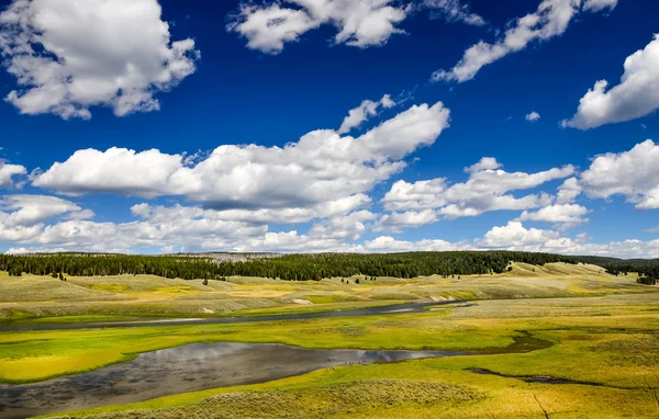 Pohled na krajinu louky a řeka Yellowstone, USA — Stock fotografie