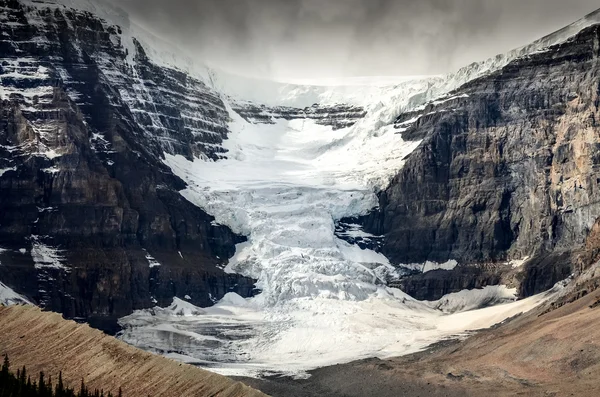 Мальовничий вид на льодовик Колумбія Icefield напрямку Jasper Np, Сполучені Штати Америки — стокове фото