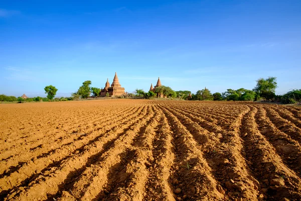 Landscape view of ancient temples and field, Bagan, Myanmar
