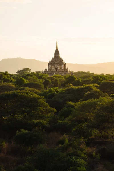 Coucher de soleil magnifique heure dorée avec temple antique, Bagan — Photo