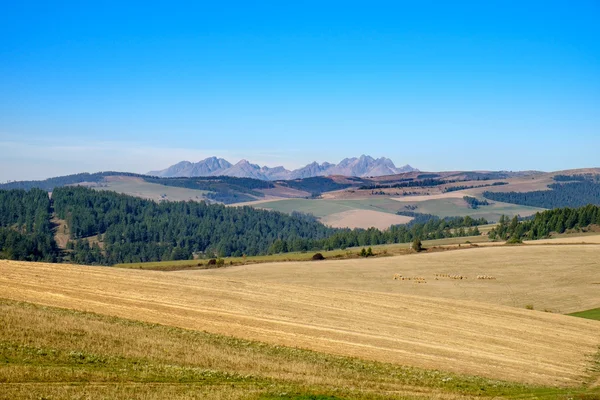 Paisaje vista de la cordillera y las colinas de colores otoño, Slov Imágenes de stock libres de derechos