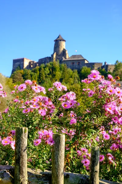 Hermosas flores coloridas y viejo castillo histórico en backgrou — Foto de Stock