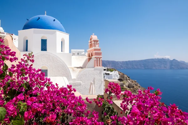 Schilderachtig uitzicht van traditionele Cycladische huisjes met bloemen in foreg — Stockfoto