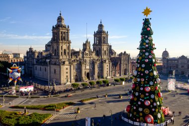 Zocalo, katedral ve Noel ağacı Mexico City'de görünümünü