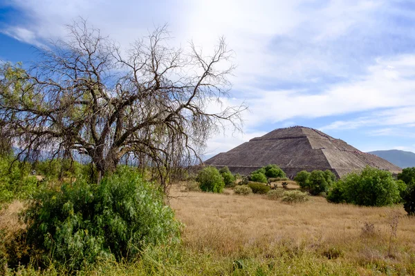 Liggande vy på Teotihuacan med träd och solpyramiden — Stockfoto