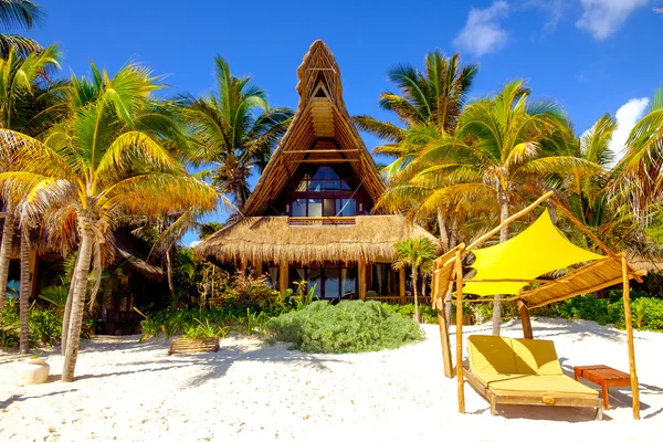 Scena tranquilla di spiaggia oceanica, palme, letti e cabina — Foto Stock