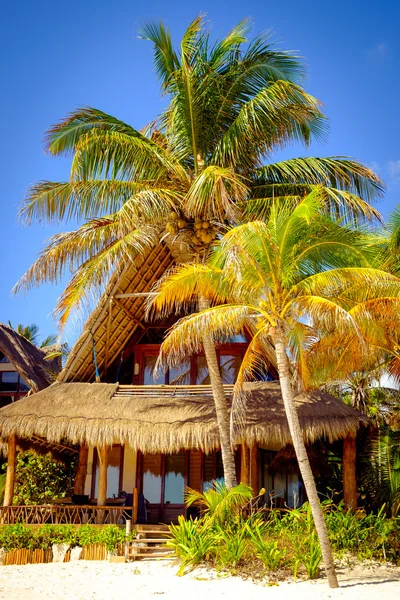 Tranquil scene of ocean coast hut and palm trees — Stock Photo, Image