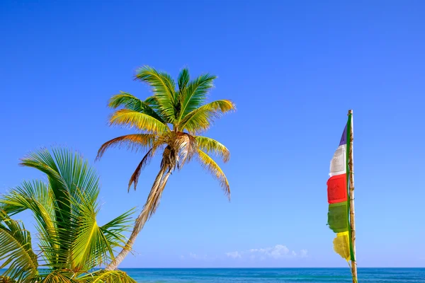 Summer image of palm tree and Buddhist prayer flag — Stock Photo, Image