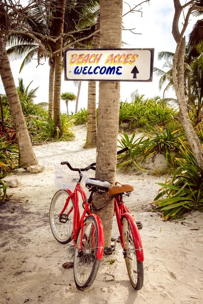 Cena tranquila com duas bicicletas, praia e palmas — Fotografia de Stock