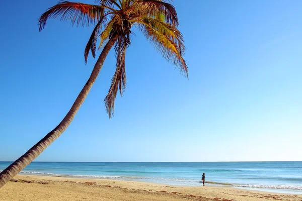 Paisagem de praia com palmeiras e silhueta de mulher — Fotografia de Stock
