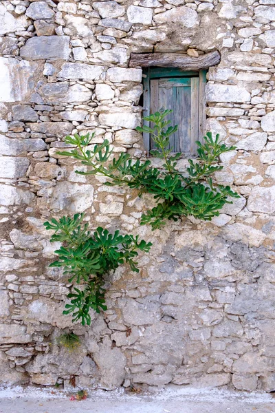 Vecchia finestra in legno muro di pietra in stile vintage — Foto Stock