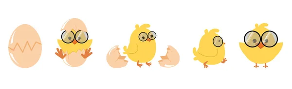 Милый Цыпленок Инкубационный Яйцо Мультяшный Вектор Набор — стоковый вектор