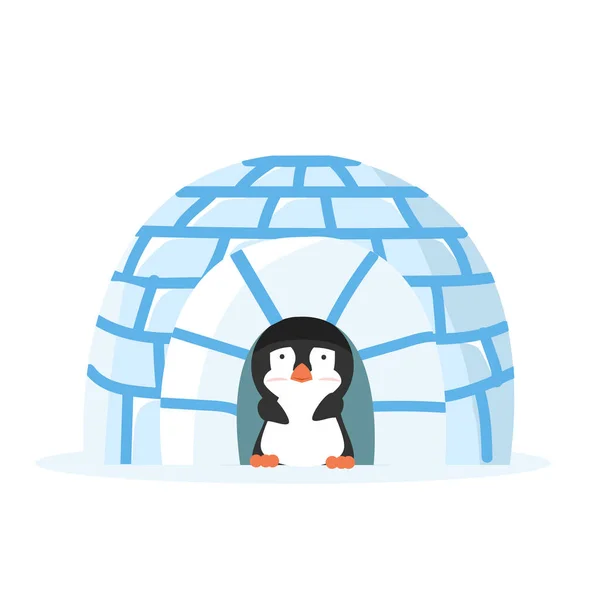 Pingüino Iglú — Archivo Imágenes Vectoriales