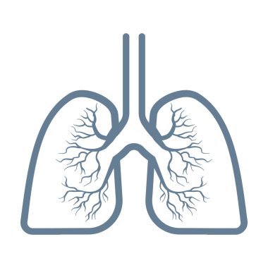 Beyaz arkaplanda akciğerler simgesi izole edildi