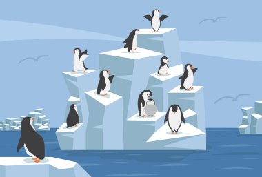 Penguen grubuyla Kuzey Kutbu