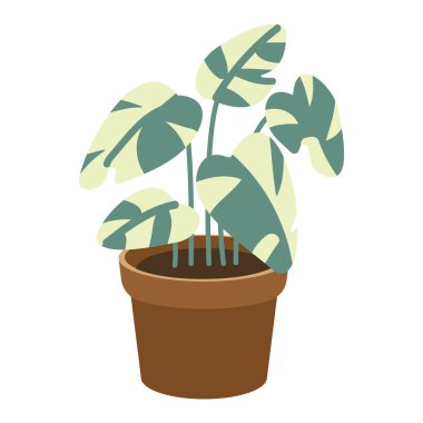 Ev dekorasyonu, doğa, bahçıvanlık ve iç tasarım kavramları için mükemmel bir konsept..