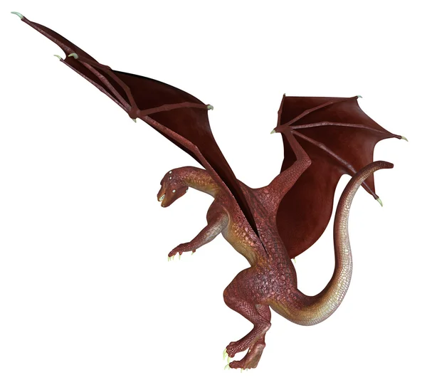 Red Dragon 01 — Stock Photo, Image