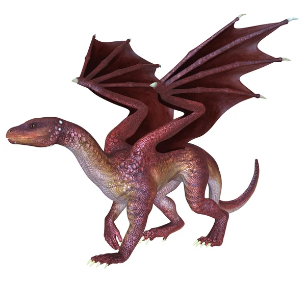 Red Dragon 01 — Stock Photo, Image