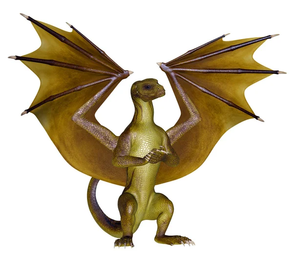 Желтый дракон — стоковое фото