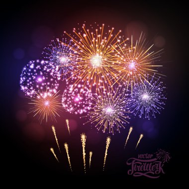 Vektör tatil havai fişek