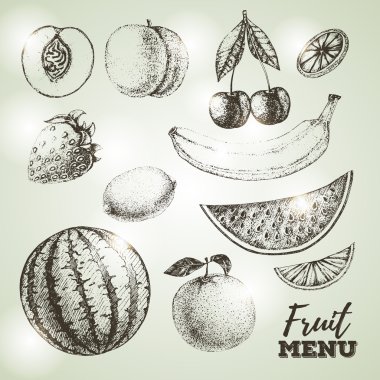 Taze meyve kroki Vintage kümesi