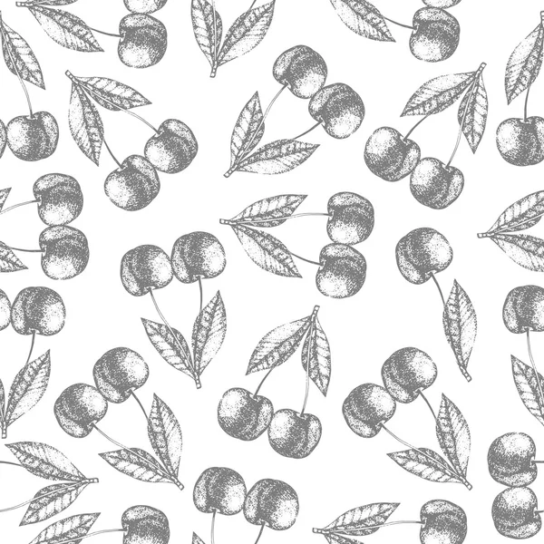 Patrón de cereza sin costuras. Fondo del boceto de fruta fresca — Archivo Imágenes Vectoriales