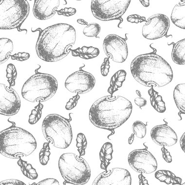 Dikişsiz pancar deseni. Sebze çizimarka