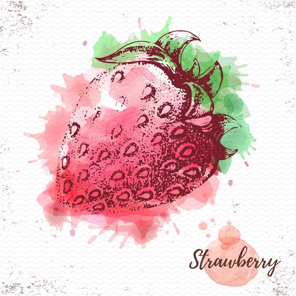 Watercolor strawberry sketch. Fresh fruit vector illustration — Stock Vector