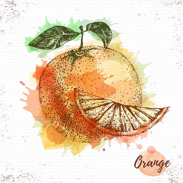 Watercolor orange sketch. Fresh fruit vector illustration — Stock Vector