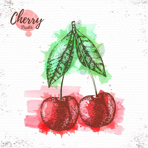 Watercolor cherry sketch. Fresh fruit vector illustration — Stock Vector